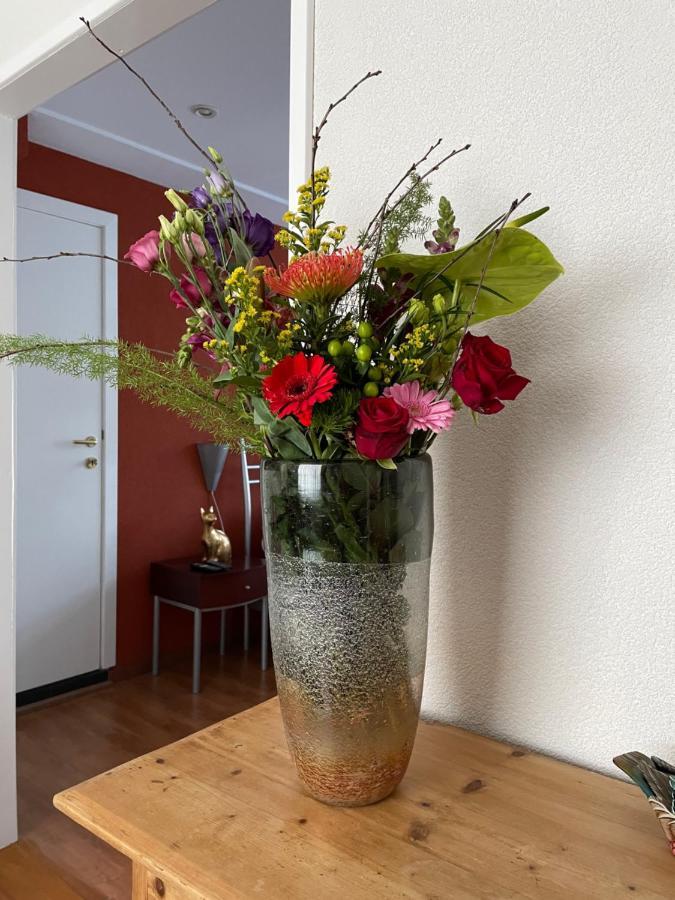 Appartement De Gouw Noordgouwe 외부 사진